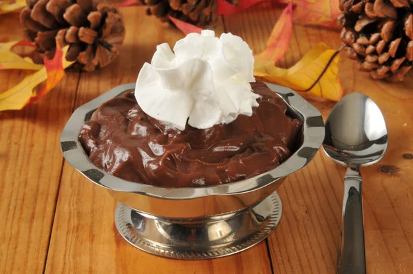 Gastronomische chocolade pudding — Stockfoto