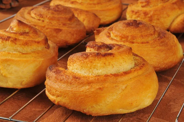 Frisch gebackene Zimtbrötchen — Stockfoto