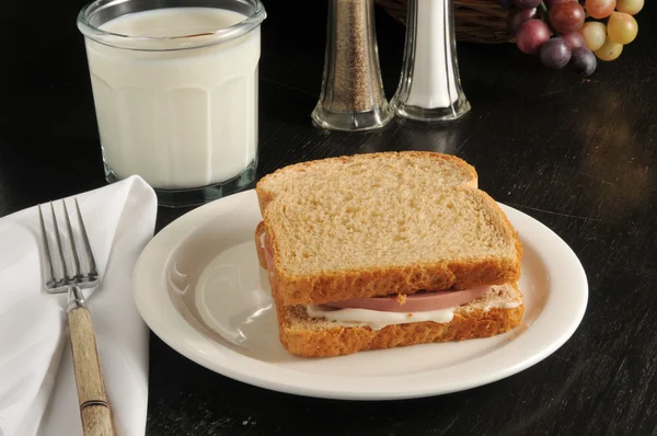 Flauwekul sandwich — Stockfoto