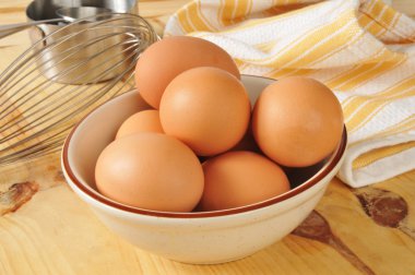 taze kahverengi yumurta