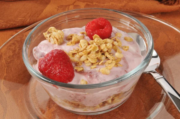 Raspberry yogurt parfait — Stock Photo, Image