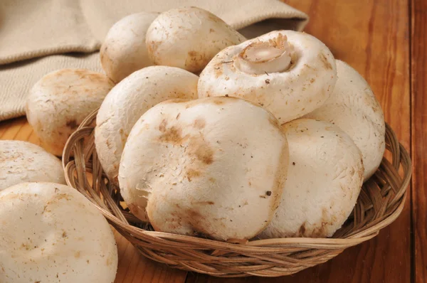 Mushrooms in a basket — Stock Photo, Image