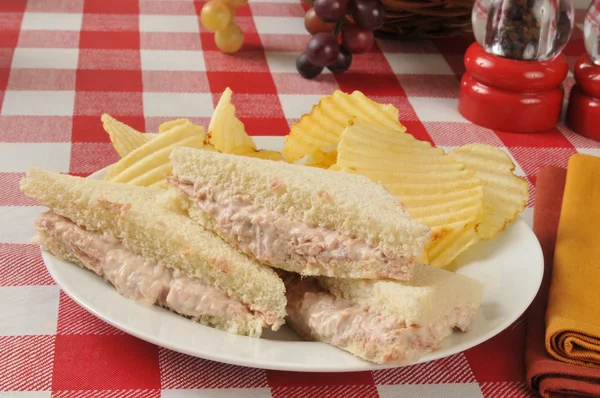 Ton balıklı sandviç ve patates kızartması — Stok fotoğraf