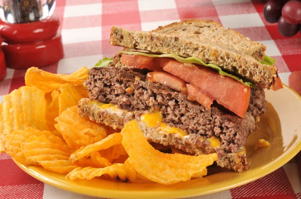 Sandwich de hamburguesa y patatas fritas — Foto de Stock