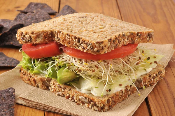 Sandwich vegetariano sano — Foto Stock