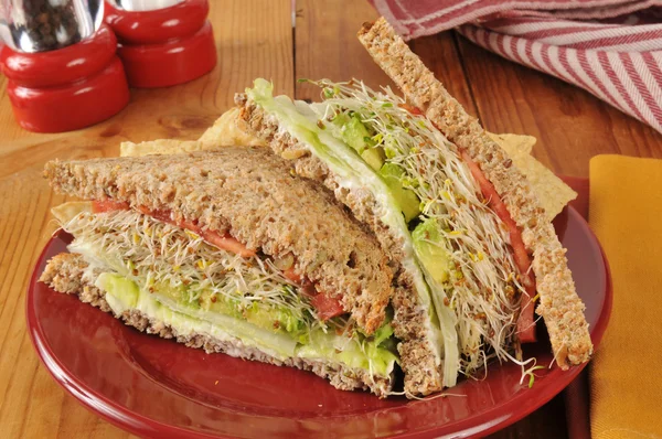 Plantaardige sandwich — Stockfoto