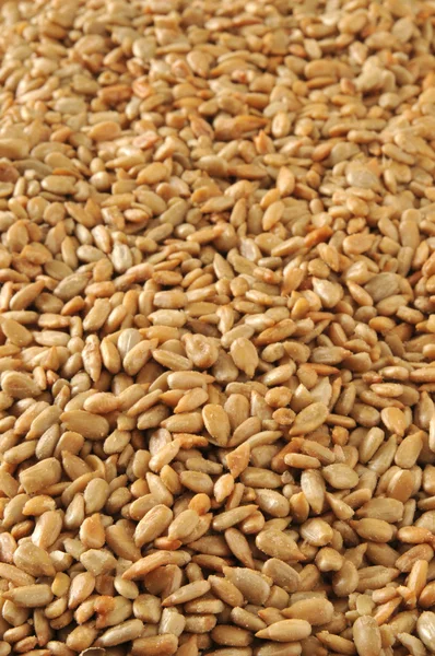 Vertical sunflower seed background — Stock Photo, Image