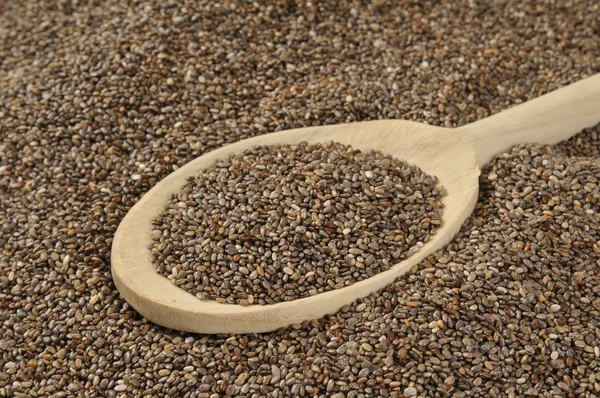 Lopatka chia semen — Stock fotografie