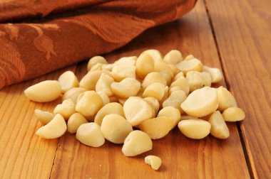 Macademia nuts clipart