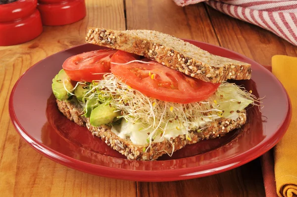 Organic veggie sandwich — Stock Photo, Image