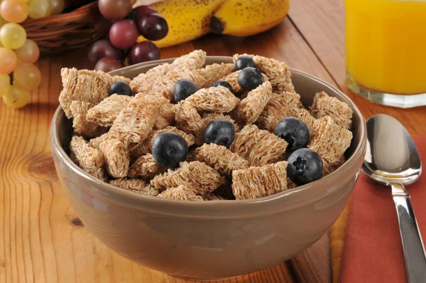 Bowl of organic wheat cereal — Stock Photo, Image