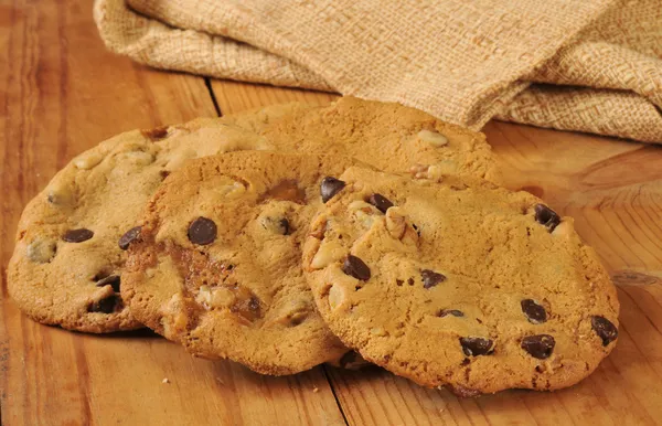 Huis gebakken schildpad cookies — Stockfoto