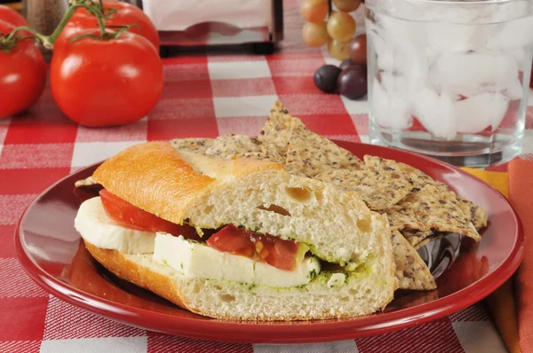 Caprese sandwich — Stock Photo, Image