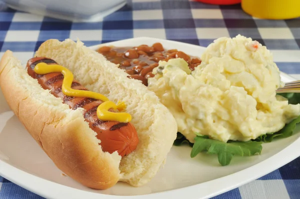 Mustard dog — Stock Photo, Image