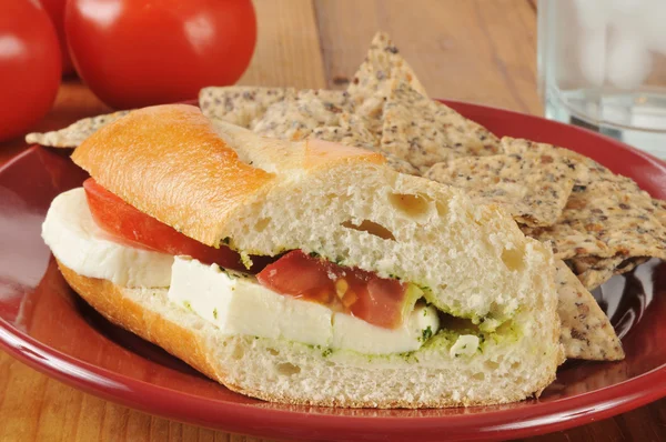Caprese sandwich — Stockfoto