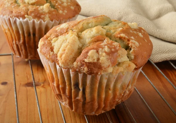 Muffins aux myrtilles sur une grille de refroidissement — Photo