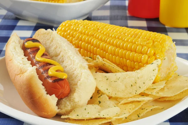 Hot dog met maïs op de kolf — Stockfoto