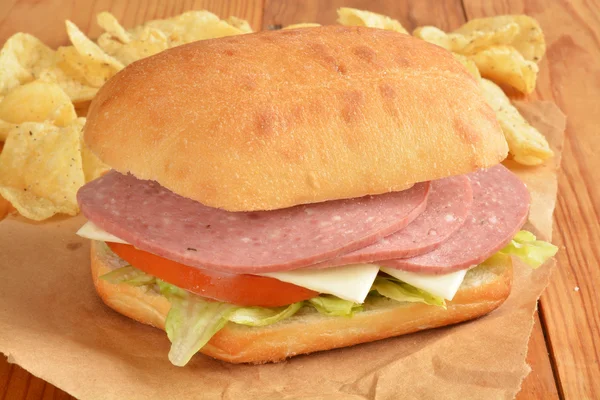 Salami and cheese sandwich — Stock Photo, Image