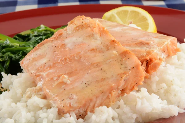 Filetes de salmón a la parrilla — Foto de Stock