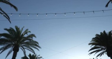 Palmiye ağaçlarından siluet dükkanlarına, Hermosa Sahili rıhtım girişine kadar.