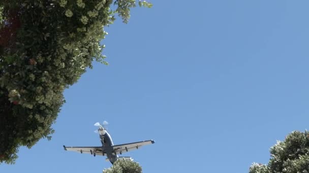 Avión Monomotor Volando Sobre Cabeza Descenso Aterrizaje Cámara Lenta — Vídeo de stock