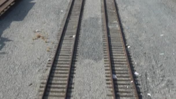 Dos Vías Gemelas Que Atraviesan Patio Del Ferrocarril Centro Los — Vídeos de Stock