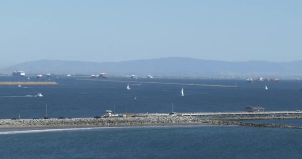 Veleiros Além Quebra Mar Porto Los Angeles Belo Dia Verão — Vídeo de Stock