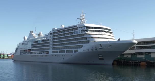 Los Angeles Usa Oktober 2021 Cruiseschip Aangemeerd Bij Stapels Containers — Stockvideo