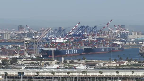 Los Angeles Usa Oktober 2021 Containerschepen Hoog Gestapeld Door Portaalkranen — Stockvideo