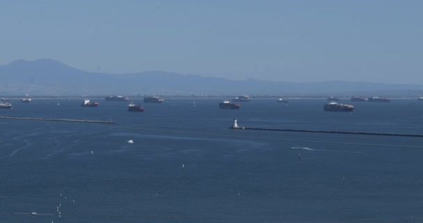 Navios Carga Presos Mar Além Quebra Mar Porto Los Angeles — Vídeo de Stock
