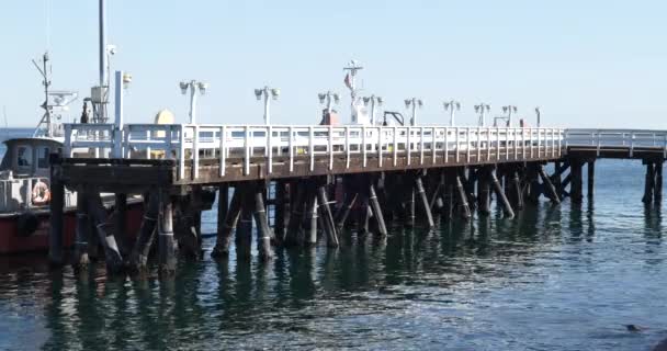 Rustic Old Dock Extending Ocean Beautiful Day — Stock Video