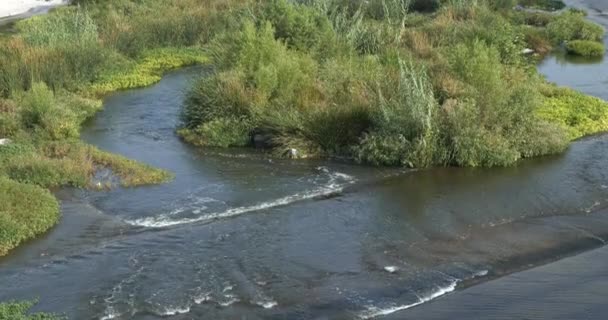 Νερό Στο Ποτάμι Του Λος Άντζελες Ρέει Γύρω Από Ένα — Αρχείο Βίντεο