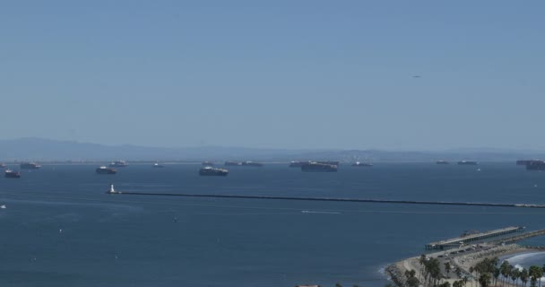 Navios Carga Presos Mar Esperando Para Entrar Porto Los Angeles — Vídeo de Stock