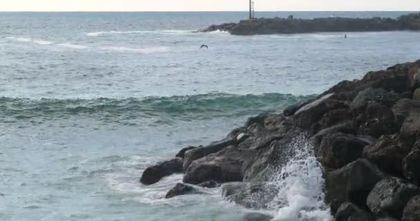 Pacific Ocean Waves Crashing Breakwater Tropical Resort — Stock Video