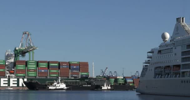 Los Angeles Usa Oktober 2021 Scheepvaart Containers Hoog Opgestapeld Haven — Stockvideo