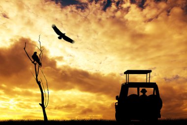 Jeep safari