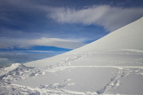 Прогулка по снегу — стоковое фото