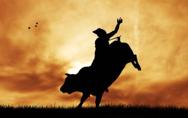 Bull Rider