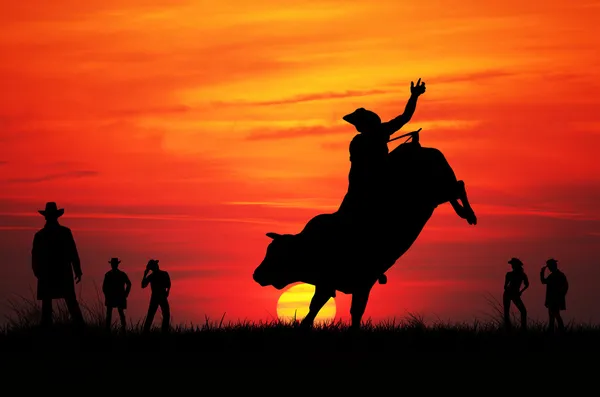 Cavaleiro de touro — Fotografia de Stock