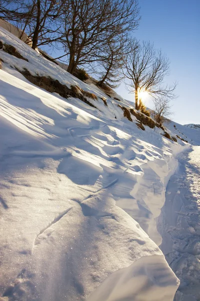 Sneeuwlandschap — Stockfoto