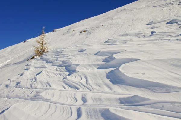 Snöigt landskap — Stockfoto