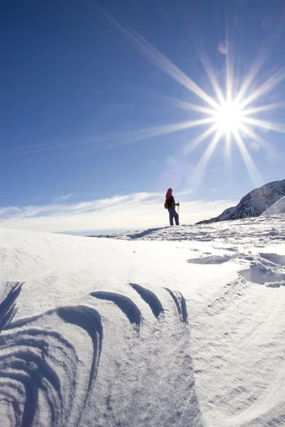 Paisagem inverno — Fotografia de Stock