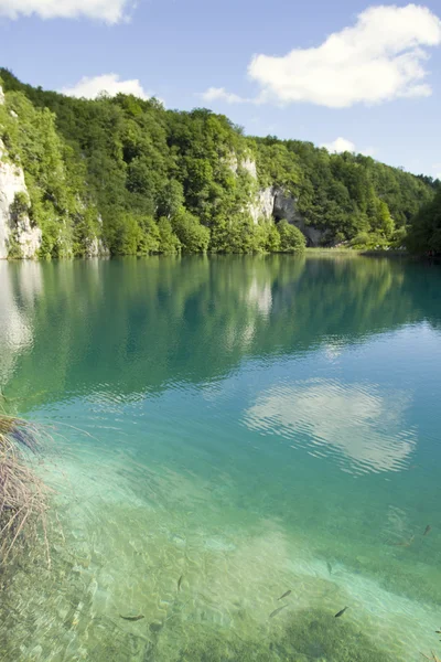 Plitvice Gölleri — Stok fotoğraf