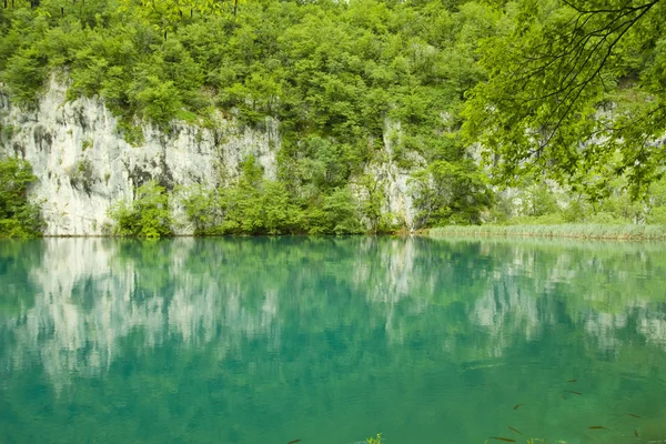 Plitvice lakes — Stock Photo, Image