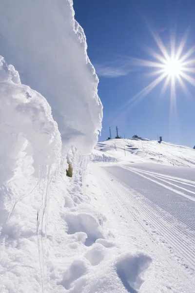 Gelo no inverno — Fotografia de Stock