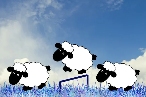 Counting sheep — Stock Photo, Image