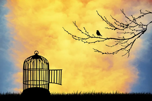 Cage for bird — Stock Photo, Image