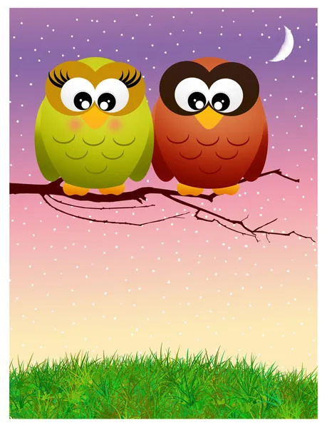 Owls in love — Stock Photo, Image