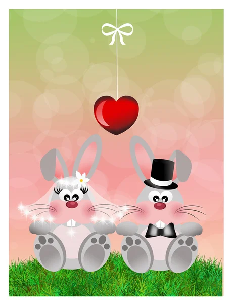 Bunnies in love — Stock Photo, Image