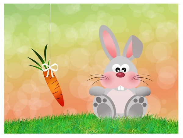 Bunny — Stock Photo, Image